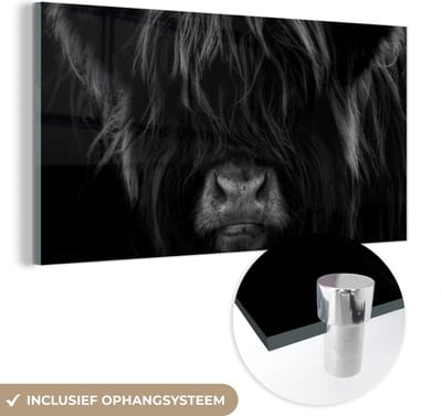 MuchoWow® Glasschilderij 120x60 cm - Schilderij acrylglas - Schotse Hooglander - Koe - Zwart - Wit - Portret - Foto op glas - Schilderijen