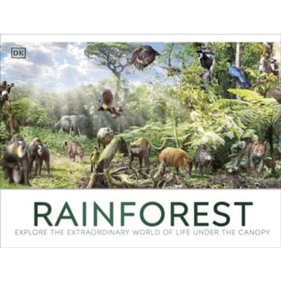 Rainforest - DK