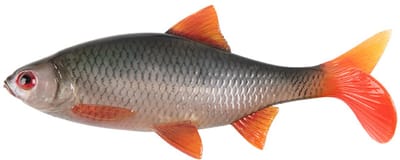 Fox Rage Ultra Realistic Replicant Roach 14cm / 29g