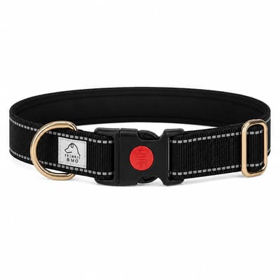 Honden Halsband - Reflecterende Stiksels - Nylon Halsband Hond - Hondenhalsband - Maat S - Zwart