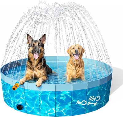Hond Sproeibad - Waterspeelgoed Hond - Buiten Spelen - 2-in-1 Functie - 160 cm - Blauw