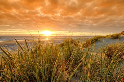 Fotobehang zonsondergang in de duinen van Ameland 350 x 260 cm - € 235,--
