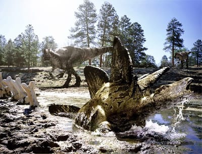 Dinosaurier - Im Reich der Giganten: Das Geheimnis von Big Al
