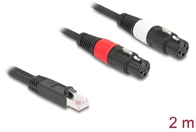 Delock Adapter Cable RJ45 plug to 2 x XLR 3 pin jack black 2 m