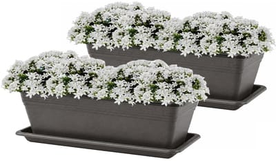 Plasticforte Plantenbakken met water opvangschotels - antraciet - 2x stuks - 60 x 20 x 15 cm - tuin - balkon - terras - rechthoek