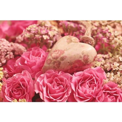 5D Diamond schilderij Rose bloemen landschap Diamond borduurwerk kruissteek 20X30CM beige