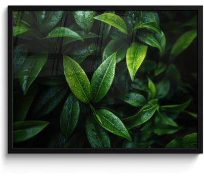 Poster in lijst - Fotolijst 80x60 cm - Posters - Bladeren - Regendruppels - Licht - Groen - Posterlijst zwart - Decoratie - Wanddecoratie woonkamer - Muurdecoratie slaapkamer
