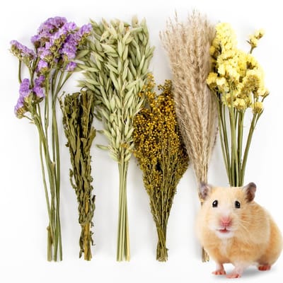 Dailygoods- Hamsterbedekking Natuurlijke Bloemen - Habitat Decor - Hamsternestdecoratie - Gedroogde Bloemen - Onderhoudsvriendelijk - Perfect voor Kleine Huisdieren - Dierenbedekking