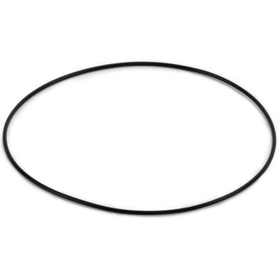O-ring