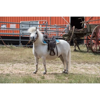 Gewatteerde western paardendeken Westride Navajo [Shetland maat]