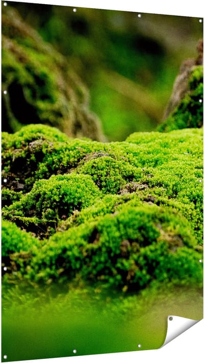 Gards Tuinposter Groen Mos - 120x180 cm - Tuindoek - Tuindecoratie - Wanddecoratie buiten - Tuinschilderij