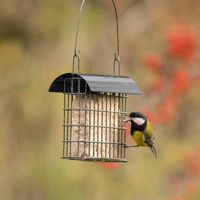 CJ Wildlife Vetblokhouder voor Vogels - Sydney - Mezenbolhouder voor 1 Vetblok - Voederhuisje Wandmodel - Bruin