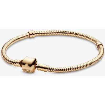 Bracelet Serpent Style Pan Européen Américain Mode Os de Serpent Bracelet en Argent Sterling 925 Chaîne de Base Simple Bijoux pour Femmes 21cm beige