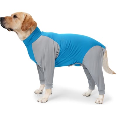Vêtements d'intérieur pour chien Été Élégant Décontracté 4 pattes Respirant Entièrement enveloppant Prévient la perte de poils Pyjama Combinaison pour chien pour la maison S blue