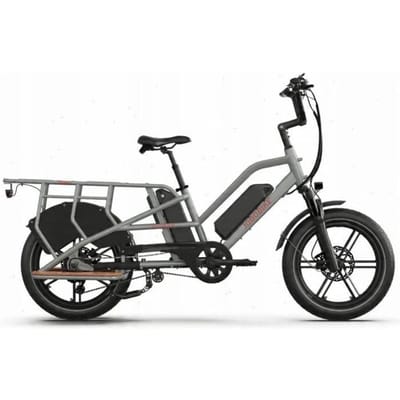 Vélo cargo électrique - JOBOBIKE - Transer - 250 W - Batterie 15 Ah - Vitesse 25 km/h - Gris grijs