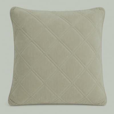 Luxe velvet kussen grijs-groen 50×50 cm