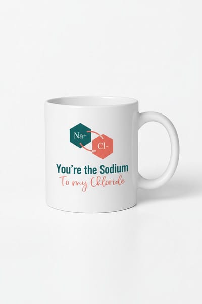 Chemie Liefdesmok 'Jij bent de Natrium aan mijn Chloride' | Na+ Cl- Mok Cadeau | Valentijn Beker