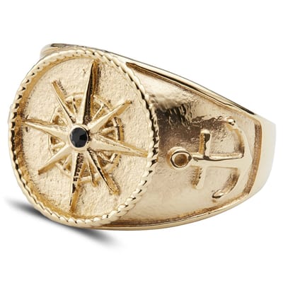 Leon Goudkleurige Gravel Ring