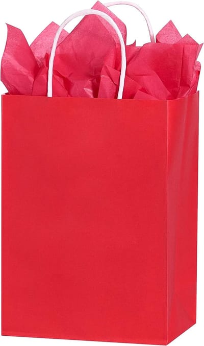 25x Rode kraft papieren draagtassen 18x8x22 cm – Cadeautasjes met gedraaide handvatten - rood / papieren tassen Kraft Papieren Tasjes Met Handvat/ Cadeautasjes met gedraaid handgrepen / Zakjes/