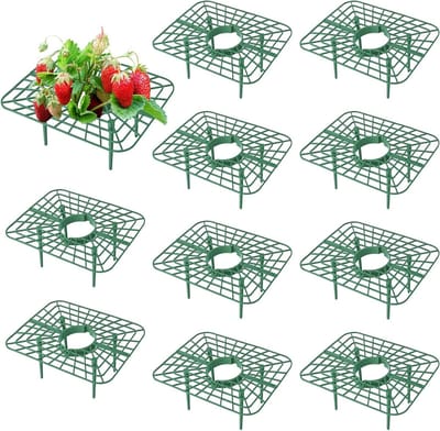Vierkante bescherming voor aardbeien en potplanten, slakkenbescherming, schimmelpreventie, 10 stuks voor optimale groei in de tuin