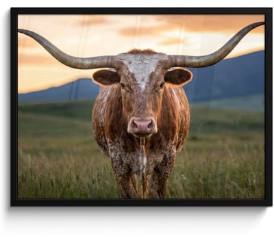 Poster in lijst - Fotolijst 80x60 cm - Posters - Longhorn - Landschap - Zonsondergang - Posterlijst zwart - Decoratie - Wanddecoratie woonkamer - Muurdecoratie slaapkamer