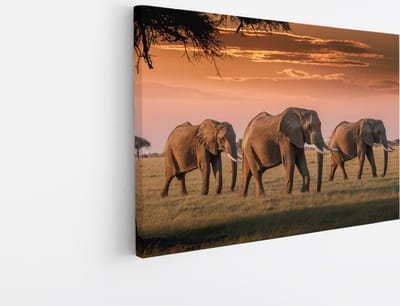 Saammp Canvas Schilderij - 3 Olifanten - Natuur - Dieren - 45x30 - Foto op canvas - Wanddecoratie - muurdecoratie Woonkamer - Slaapkamer decoratie - Canvas Print