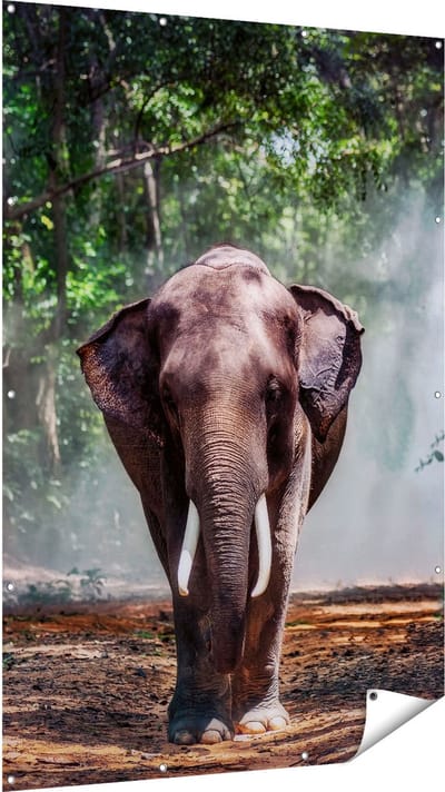 Gards Tuinposter Olifant in het Bos - 120x180 cm - Tuindoek - Tuindecoratie - Wanddecoratie buiten - Tuinschilderij