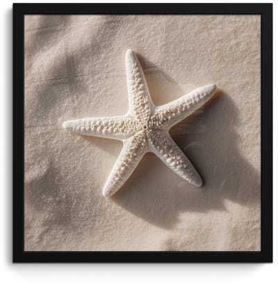 Poster in lijst - Fotolijst 40x40 cm - Posters - Strand - Zeester - Zand - Beige - Posterlijst zwart - Decoratie - Wanddecoratie woonkamer - Muurdecoratie slaapkamer
