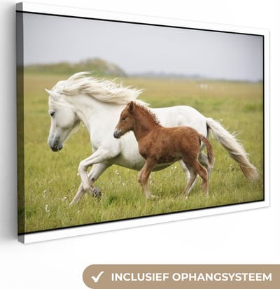 Canvas Schilderij Paarden - Dieren - Gras - 30x20 cm - Wanddecoratie