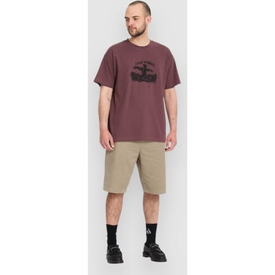 Volcom Freazy Loose EW 22 Korte Broek