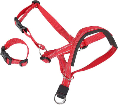 Honden Muilkorf - Hondenmondbeschermer Halsband - Veilig Wandelen - Gewatteerd Neusontwerp - Maat M - Zwart