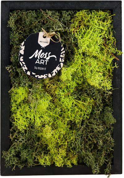Bloomique - Mosschilderij - Rechthoek - Onderhoudsvrij - Muurdecoratie - Gemaakt van echt Mos - 17 cm x 24 cm