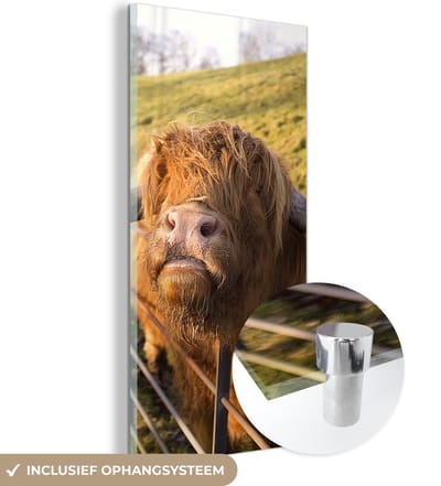 MuchoWow® Glasschilderij 20x40 cm - Schilderij acrylglas - Schotse Hooglander - Hek - Gras - Foto op glas - Schilderijen