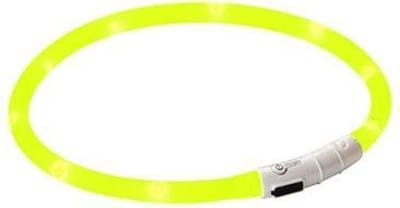 LED Honden Halsband Geel - Oplaadbaar - 20 tot 70 cm