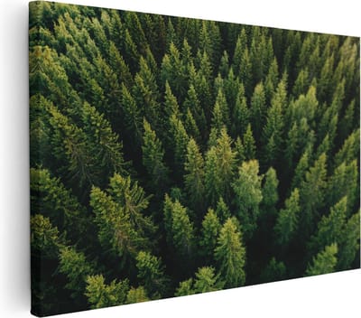 Artaza Canvas Schilderij Bomen - 30x20 cm - Klein - Wanddecoratie Bos Vanuit De Lucht - Muurdecoratie Natuur - Kamer Accessoires Landschap