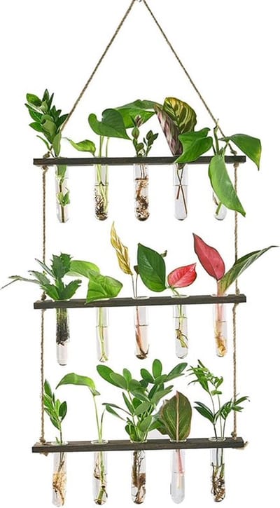 DWIH - Stekstation - Stek station vaasjes - Stekjes - Stekken - Planten stekken - Stek vaasjes - Stek glaasjes - Steklab - Reageerbuisjes - Inclusief 15 buisjes - Ophangbaar - Hout - Glas - Bruin