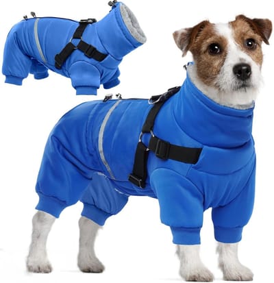 Waterdichte Hondenjas - Warme Hondentrui - Buiten Activiteiten - Met Ingebouwd Harnas - Maat XL - Blauw