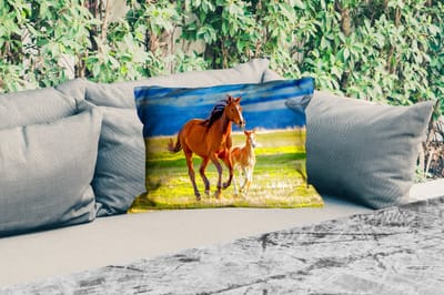 Buitenkussens - Tuin - Paarden - Gras - Dieren - Landschap - Natuur - 50x30 cm