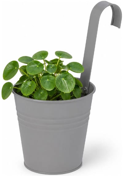 Progarden Bloempotje met haak - plantenbak zink met ophanghaak - grijs - 20 x 13 x 26 cm - ophangbaar - Balkon/schutting plantenpot