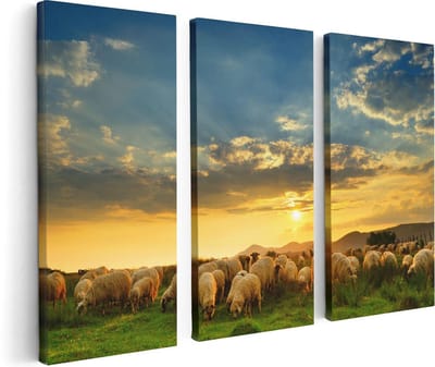 Artaza Canvas Schilderij Drieluik Kudde Schapen op het Gras bij Zonsondergang - 120x80 - Foto Op Canvas - Canvas Print