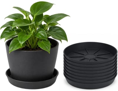 Pro Garden plantenpot onder schotel - 8x - opvang schaal - antraciet - dia 29 cm - Kunststof