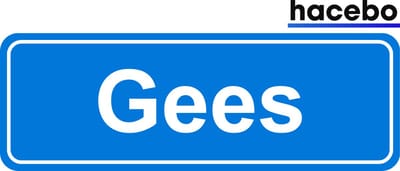 Hacebo - Plaatsnaam Sticker - 29x10 CM - Gees sticker - Verkeersborden sticker - grappige cadeaus - Gees