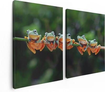 Artaza Canvas Schilderij Tweeluik Groep Kikkers op een Tak - 120x80 - Foto Op Canvas - Canvas Print