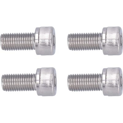 4 Stuks Zeskantbouten Cilindrische Hoofd Schroeven A2 Roestvrij Staal 1.25mm Fijne Spoed Bevestigingsmateriaal M10x55