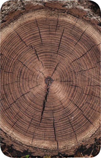 WC mat 50x80 cm - Antislip - Boom - Ringen - Bruin - Toiletmat - Vloermat - Douchemat - Toilet tapijt - Toiletmatten