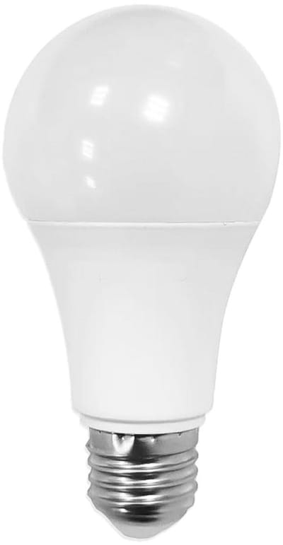 Dailygoods - Gloeilamp Kluis - Verborgen Opbergdoos - Discreet en Realistisch - Geheime Opbergplek - Veiligheid - Perfect voor Waardevolle Spullen