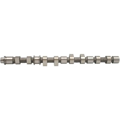 Nokkenas  AMC 647269