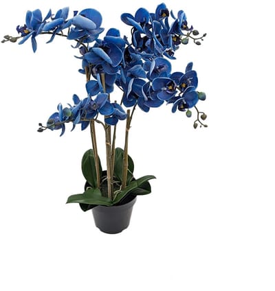 Kunst Phalaenopsis Orchidee In Pot x5 60 cm - Blue