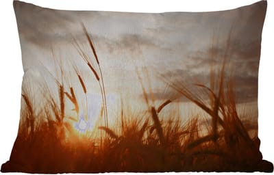 Buitenkussens - Tuin - Riet - Gras - Zonsondergang - Natuur - Horizon - 50x30 cm