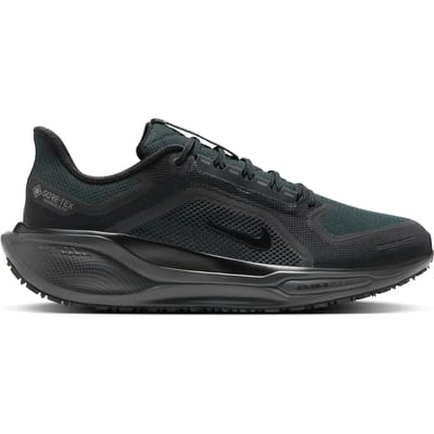 Hardloopschoenen Nike Pegasus 41 Gore-Tex